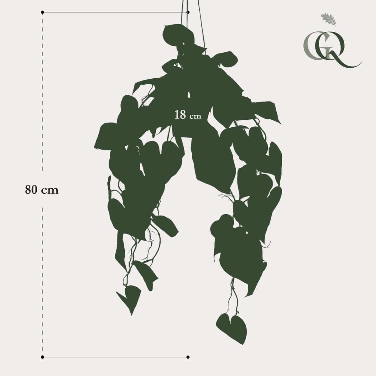 Kunstpflanze - Anthurium Clarinervium - Venenpflanze - 80 cm - HOLE-X-WORLD