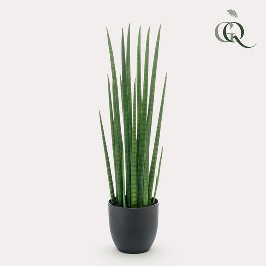 Künstliche Pflanze - Sanseveria Cylindrica - Frauenzunge - 70 cm