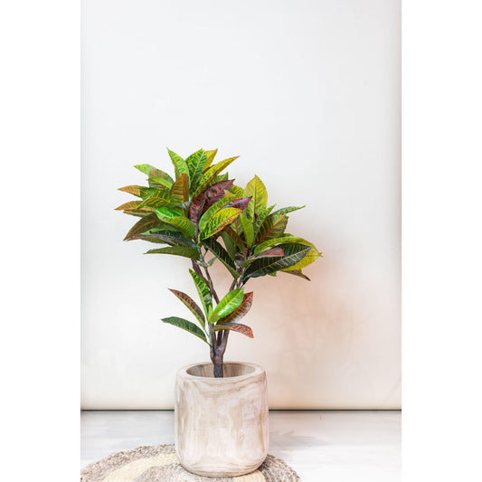 Künstliche Pflanze - Croton Codiaeum - Wonderbush - 100 cm