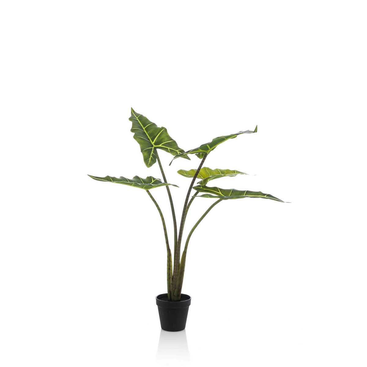 Künstliche Pflanze - Alocasia Frydek - Elefantenohr - 80 cm