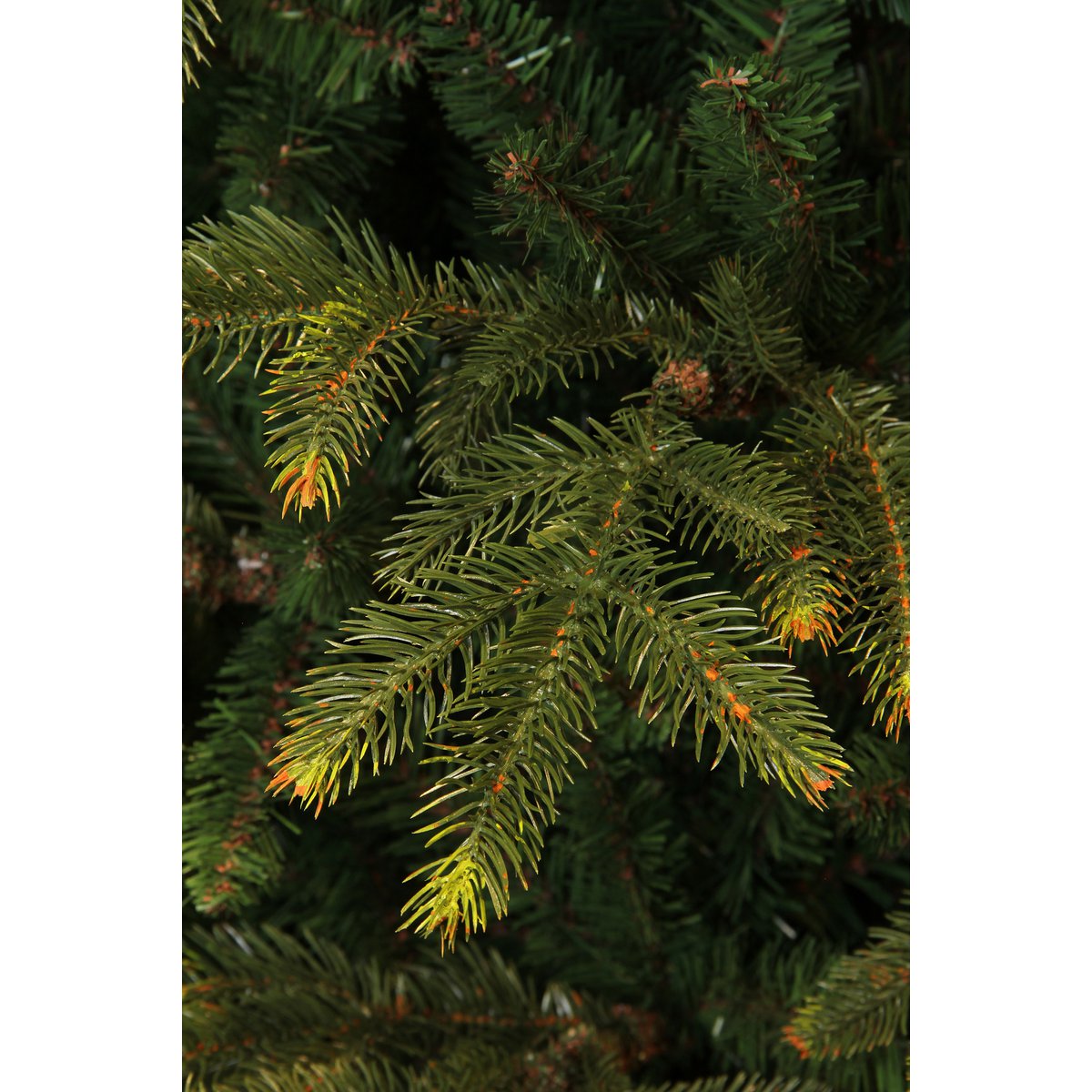 Frasier Künstlicher Weihnachtsbaum – H215 x Ø145 cm – Grün