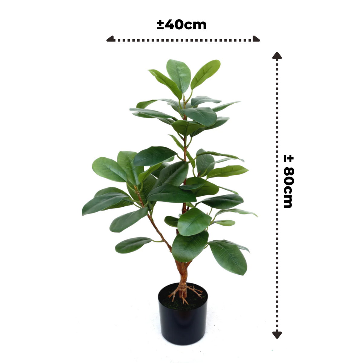 Ficus Kunstpflanze 80cm