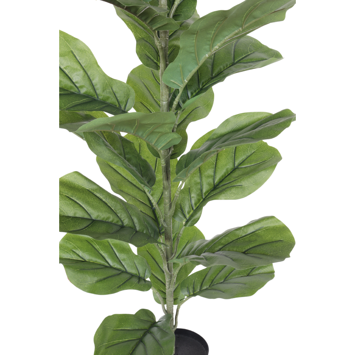 Ficus Kunstpflanze 100cm