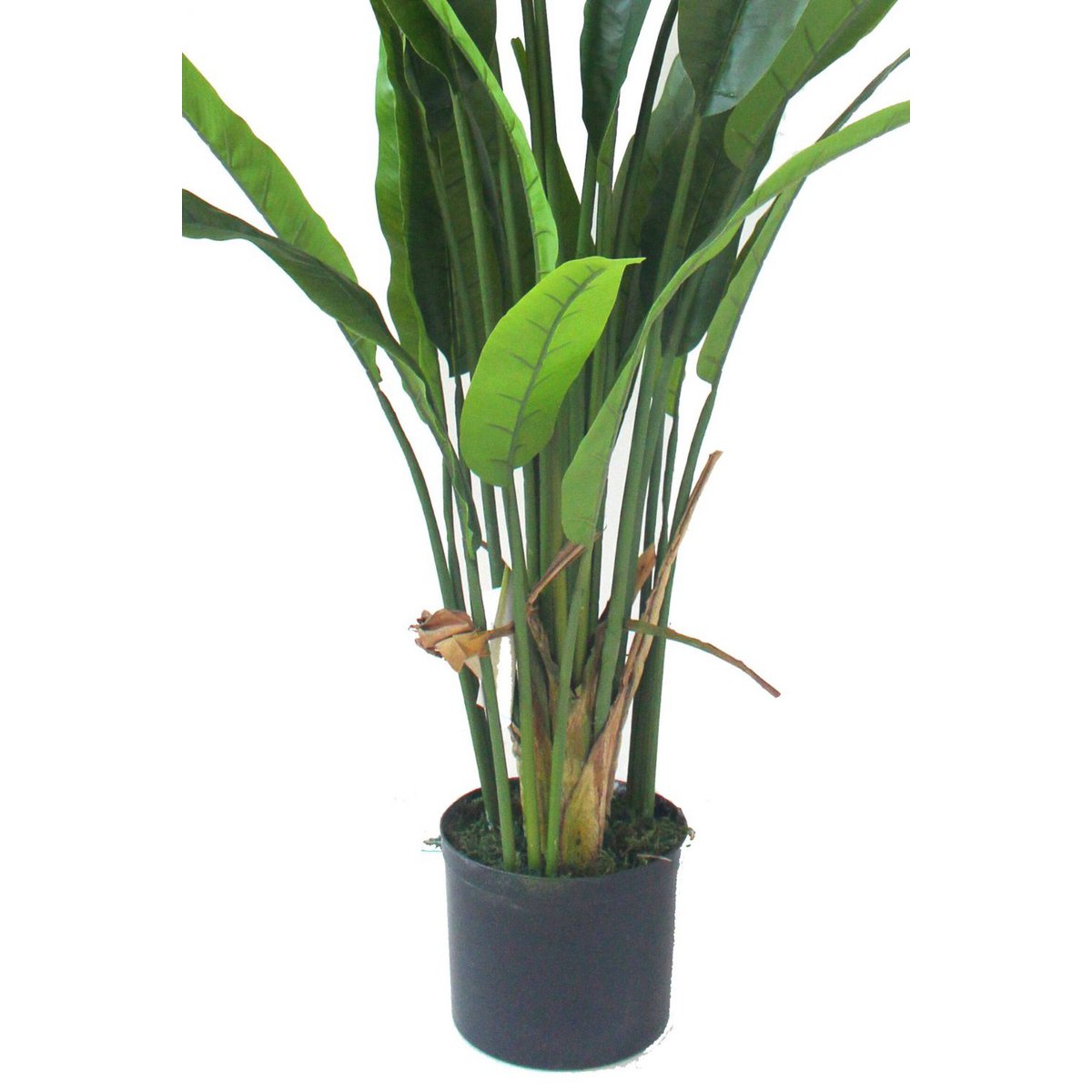 Strelitzia Kunstpflanze 160cm