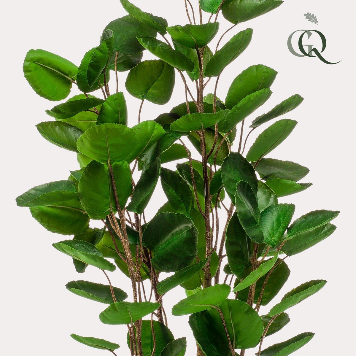 Künstliche Pflanze - Polyscias - Aralia - 105 cm