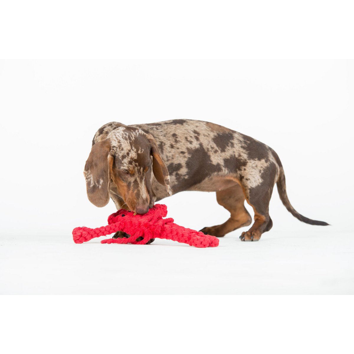 Hugo Hummer Rope Toy - Dog Red 26x22x4 cm