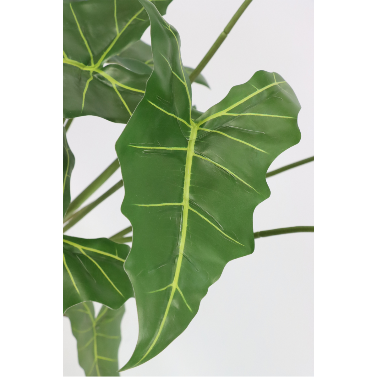 Alocasia Kunstpflanze 75cm