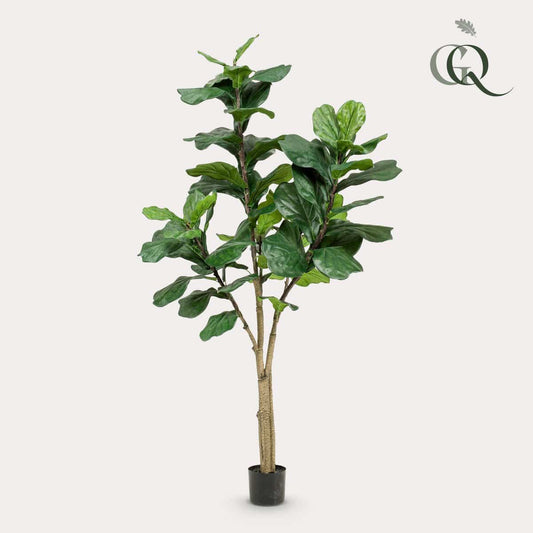 Künstliche Pflanze - Ficus Lyrata - Tabakpflanze - 180 cm - HOLE-X-WORLD