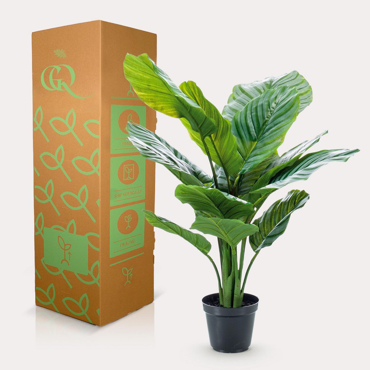 Kunstpflanze - Calathea Orbifolia - Schattenpflanze - 60 cm