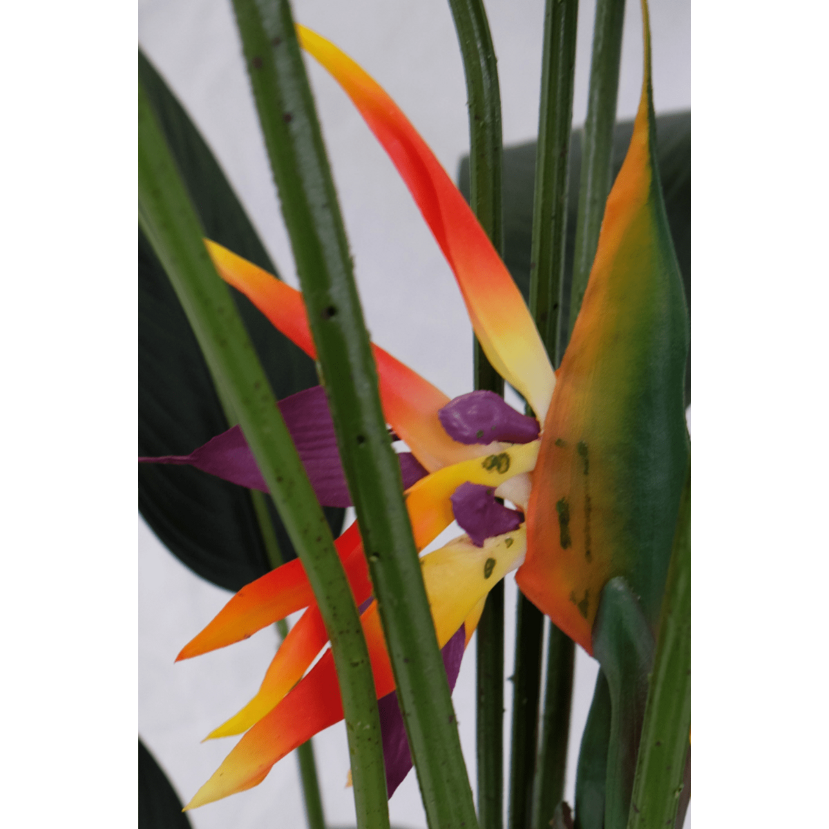 Künstliche Strelitzia-Pflanze mit Blüte 160 cm