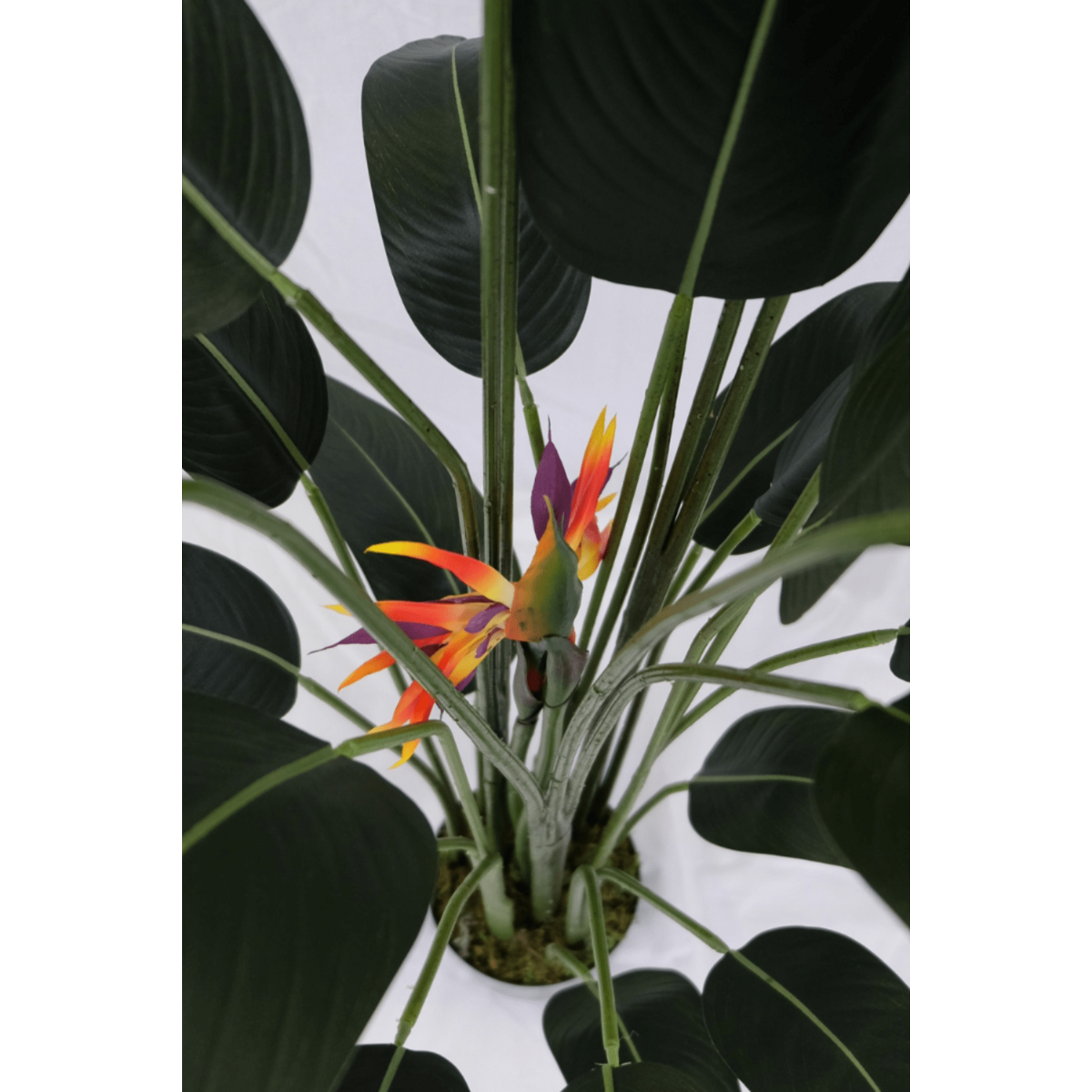 Künstliche Strelitzia-Pflanze mit Blüte 160 cm