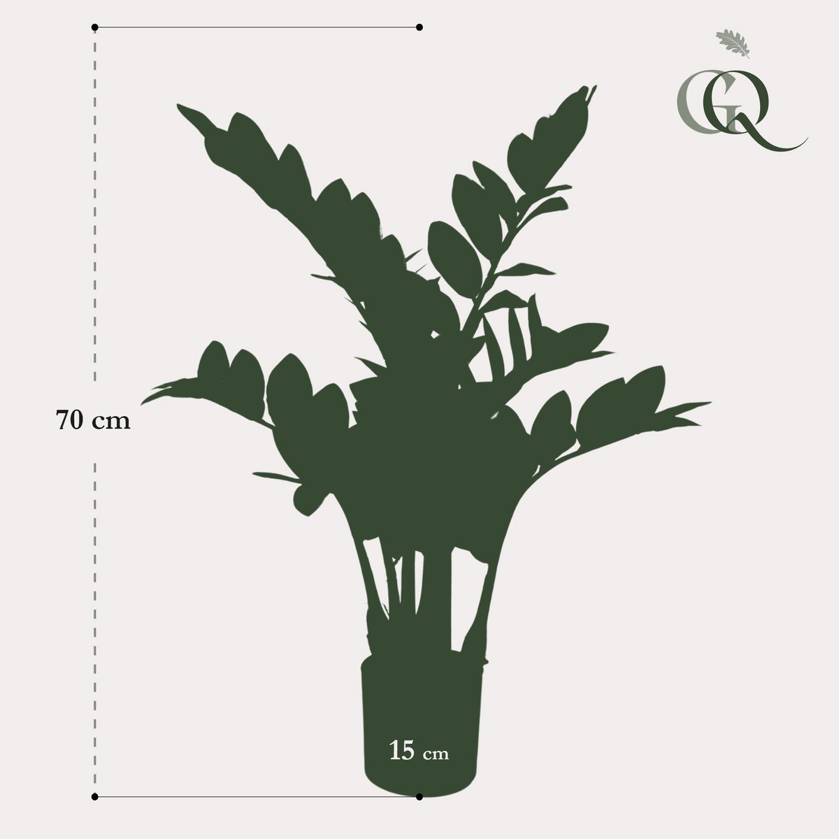 Kunstpflanze - Zamioculcas - Hauspalme - 70 cm