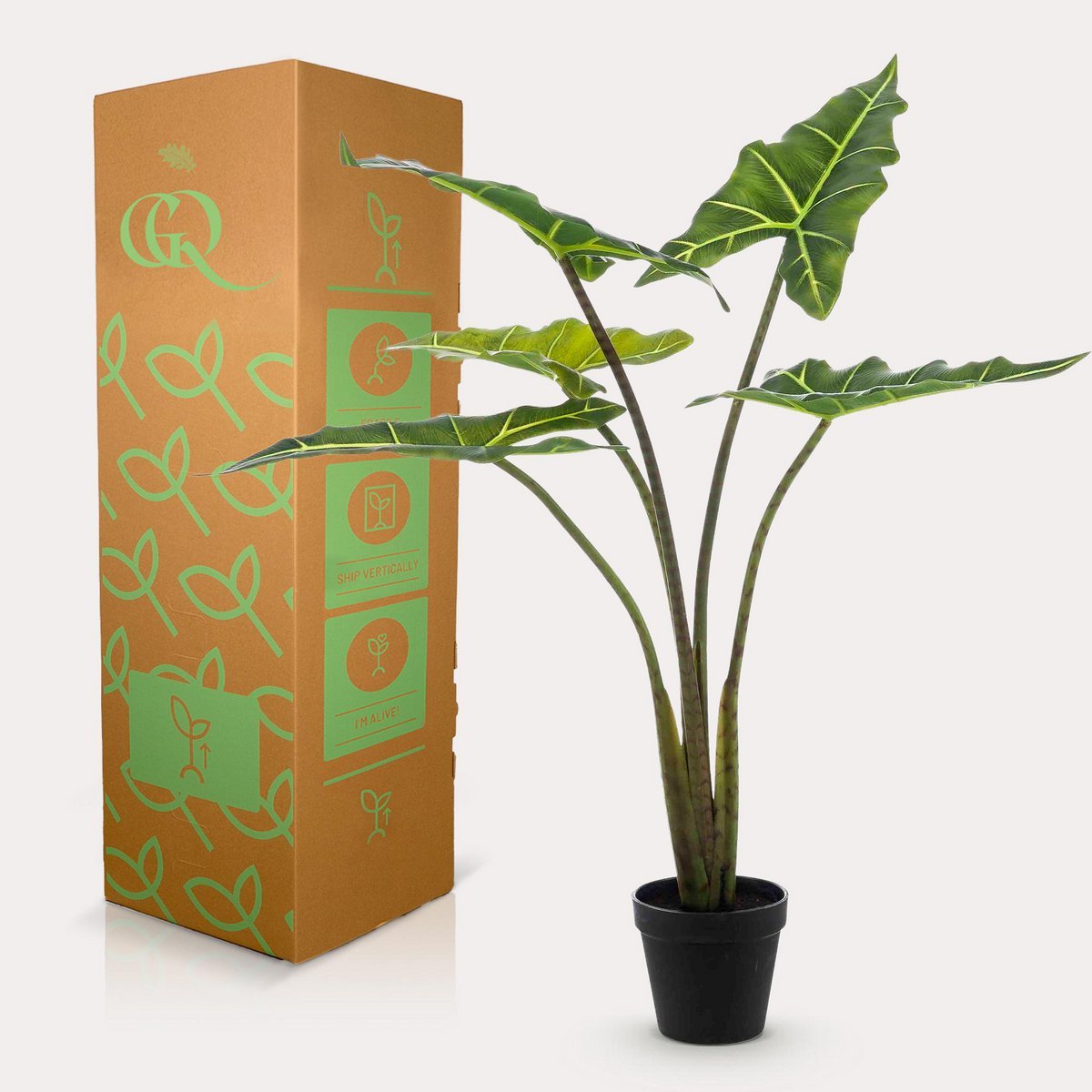 Künstliche Pflanze - Alocasia Frydek - Elefantenohr - 80 cm