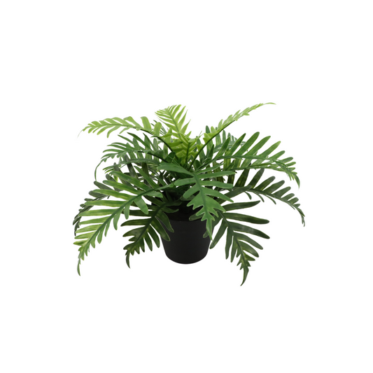 Pteris Kunstpflanze 20cm