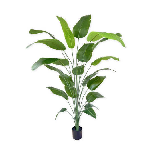 Pre-Order Kunst Bananenplant 210cm