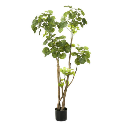 Künstliche Pflanze - Polyscias - Aralia - 140 cm - HOLE-X-WORLD