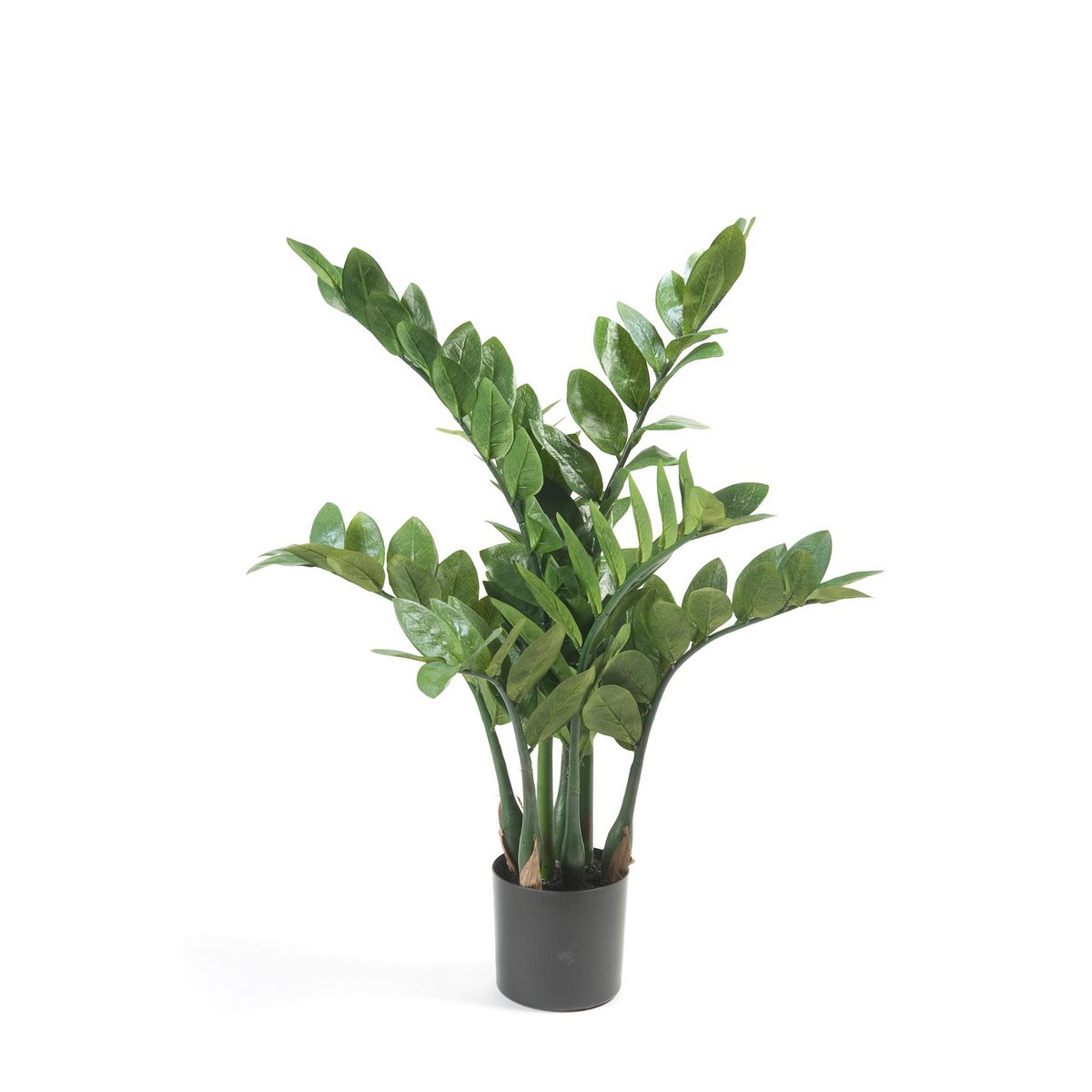 Kunstpflanze - Zamioculcas - Hauspalme - 70 cm