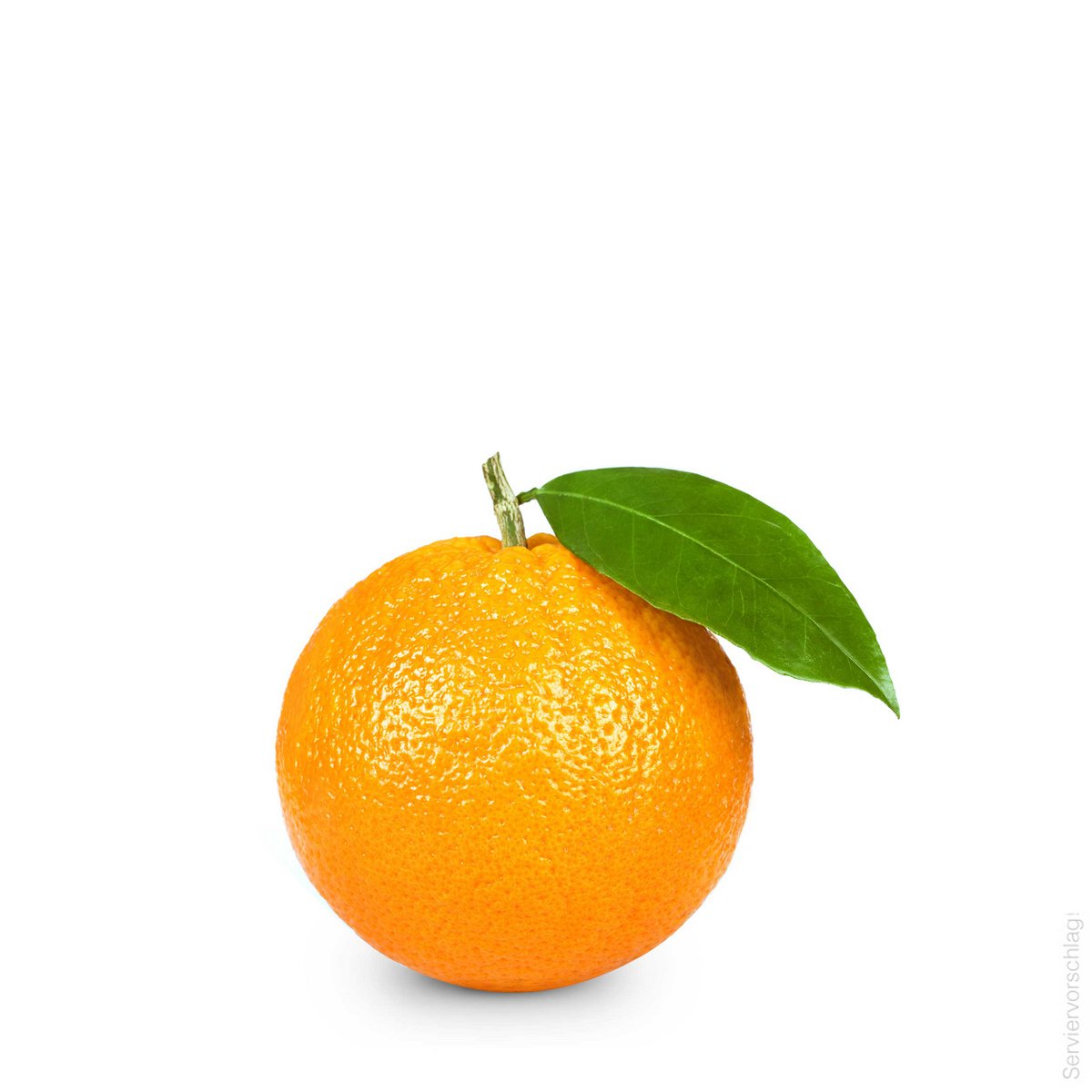 Orangen-Vanille - Likör