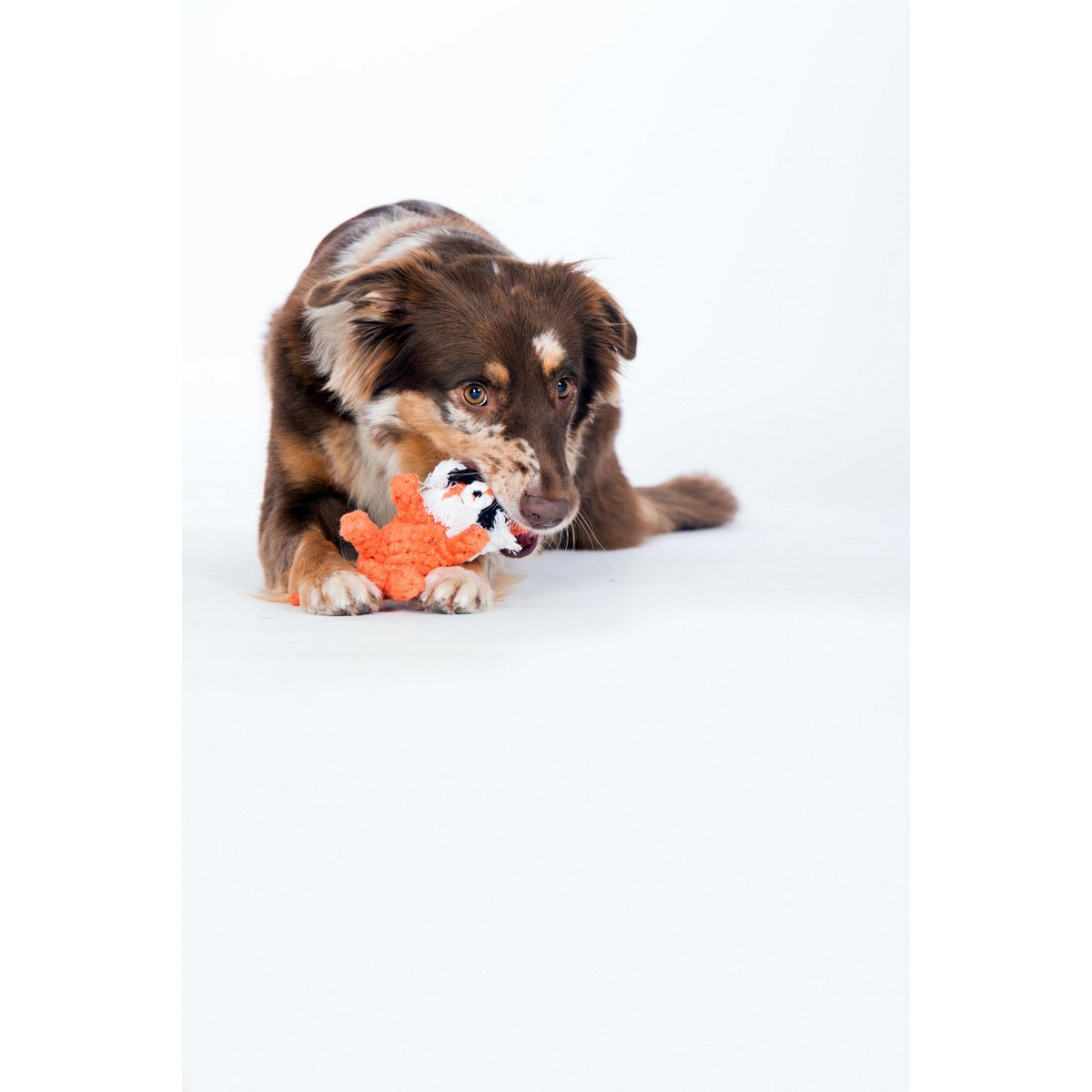 Timothy Tiger Rope Toy - Dog Orange 17x7x20 cm
