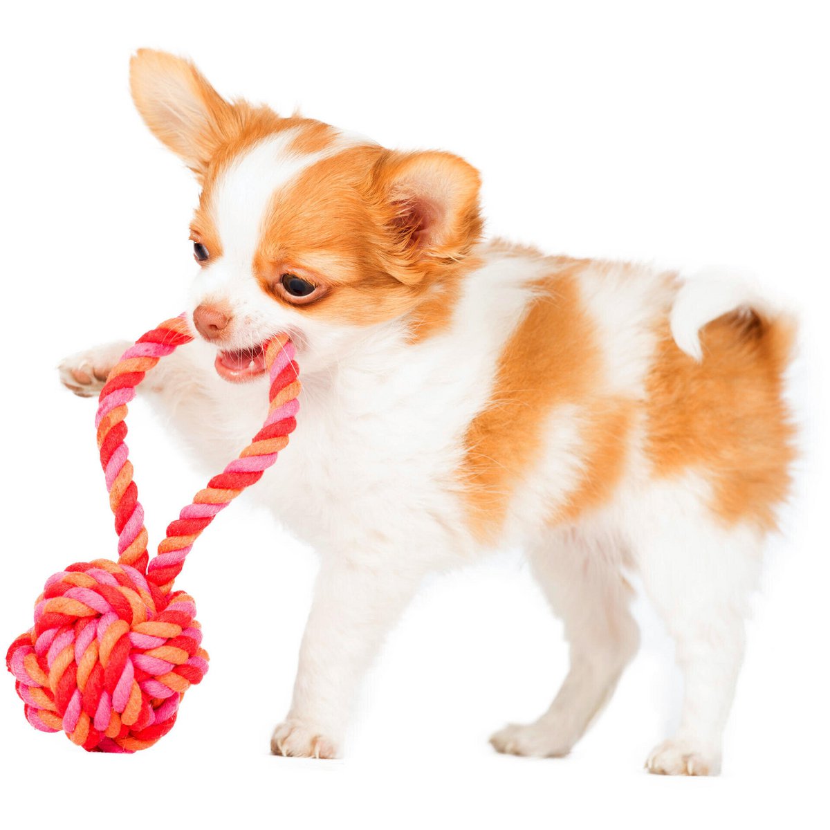 Mini Schleuderball Rope Toy - Dog Pink-Red-Orange 6x6x13 cm