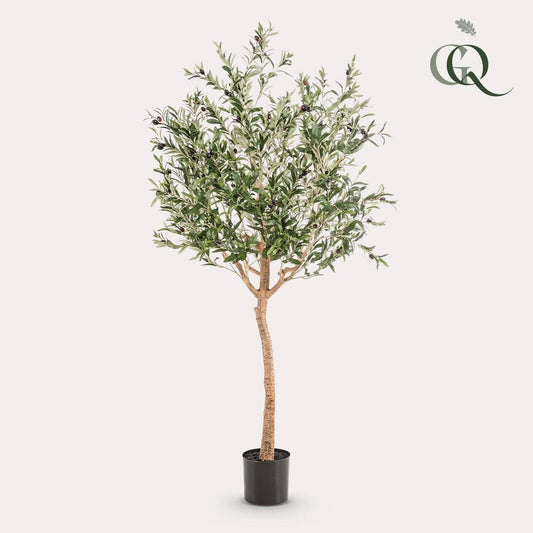 Künstlicher Olivenbaum - Olea europaea - Olivenbaum - 180 cm - HOLE-X-WORLD