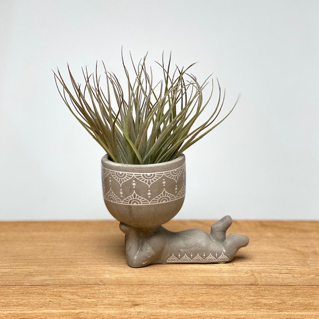 Fauler Airplant-Mann (grau) - HOLE-X-WORLD