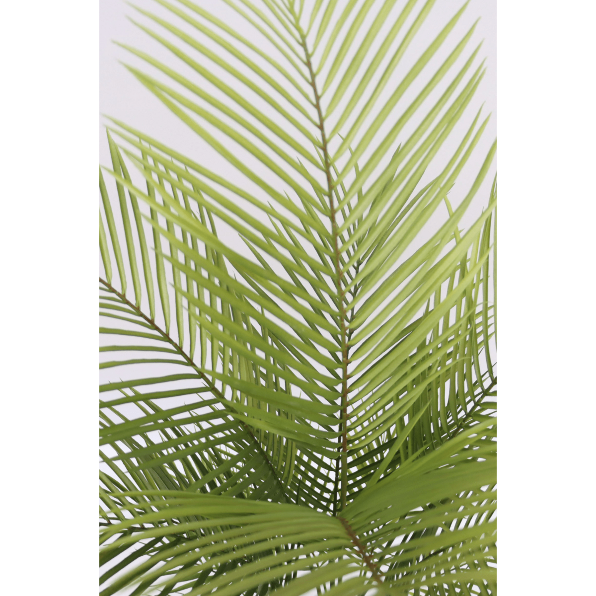 Künstliche Palme 120cm