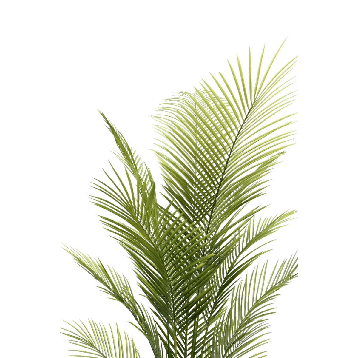 Künstliche Palme 180cm