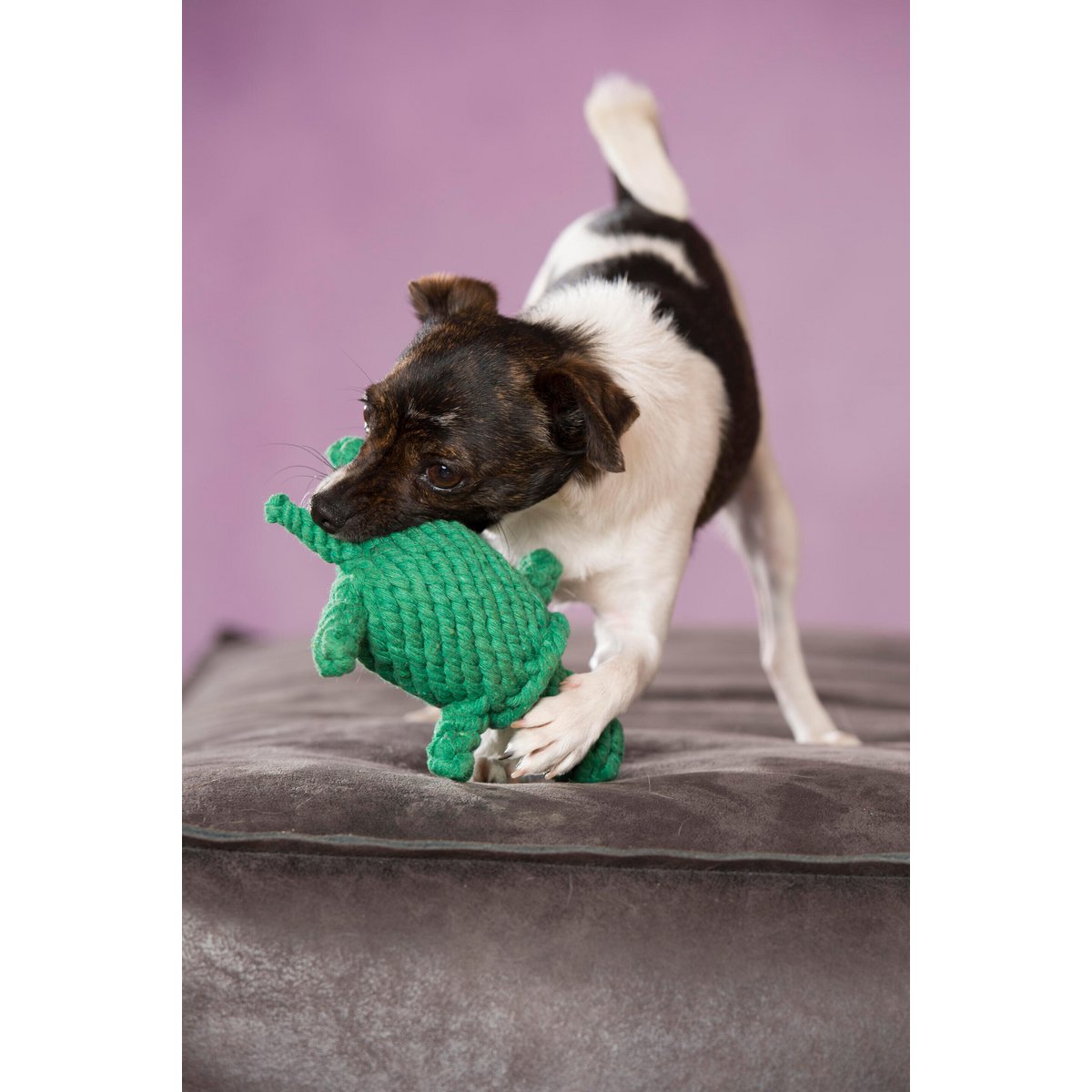 Tina Turtle Rope Toy - Dog Green 19x14x6 cm