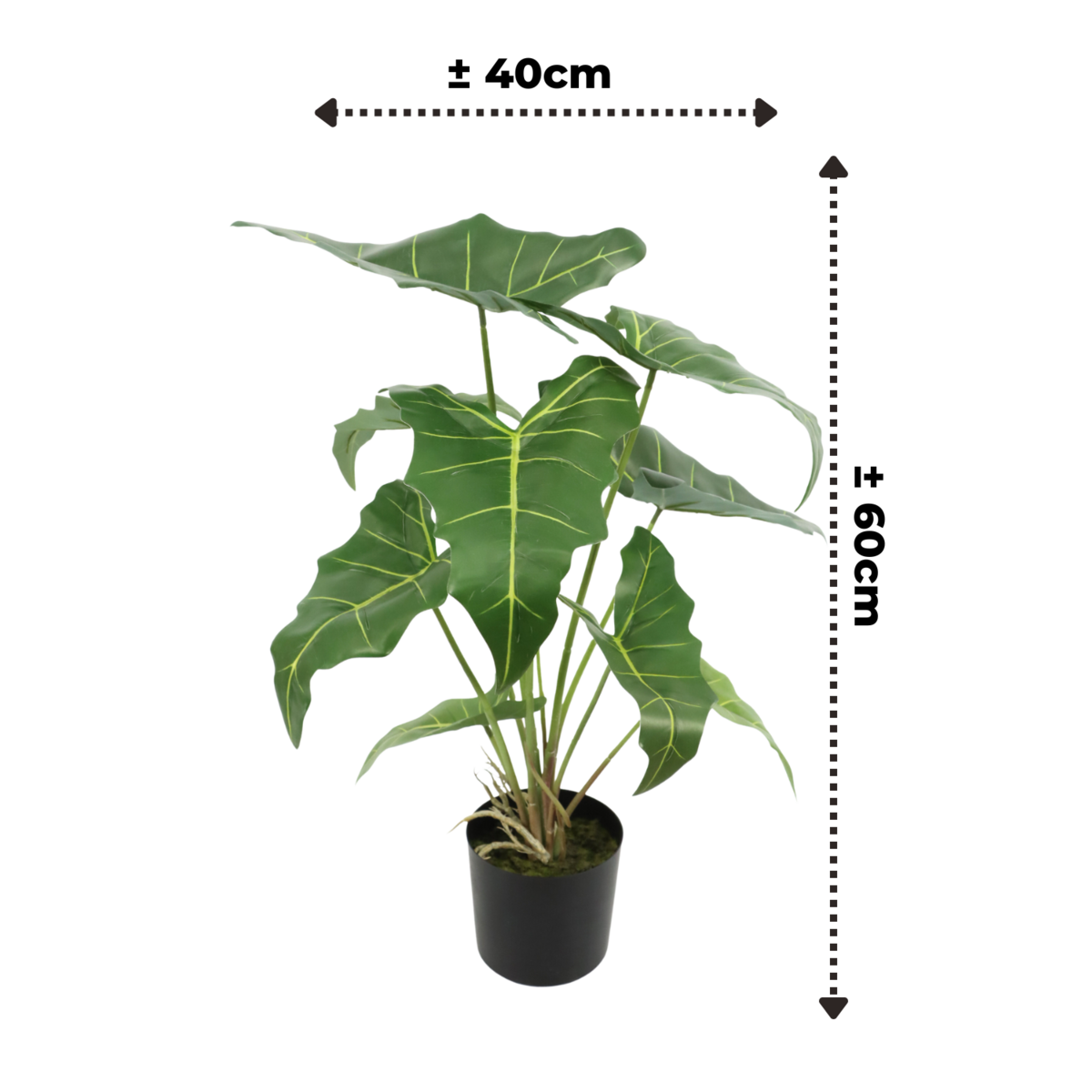 Alocasia Kunstpflanze 60cm