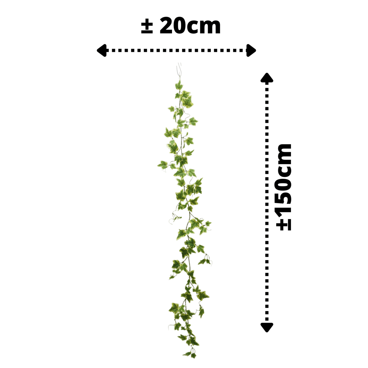 Hedera Künstliche Girlande 1 150 cm (Girlande)