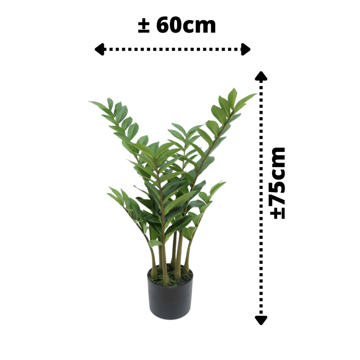 Zamioculcas Kunstpflanze 75cm