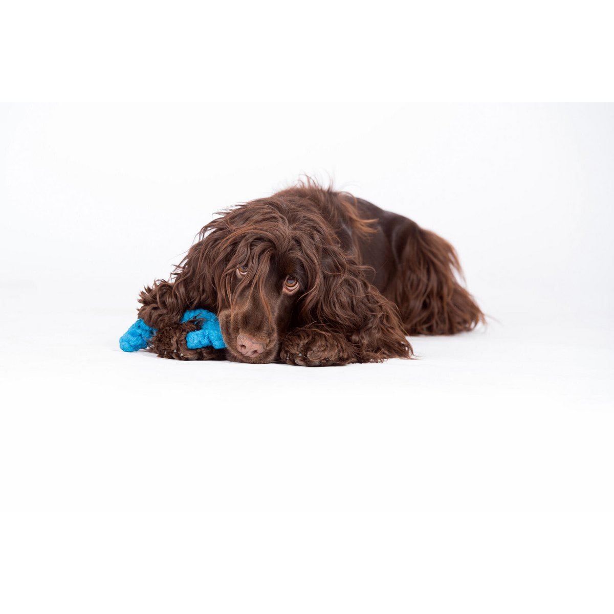 Angela Anker Rope Toy - Dog Turquoise 18x17x3 cm