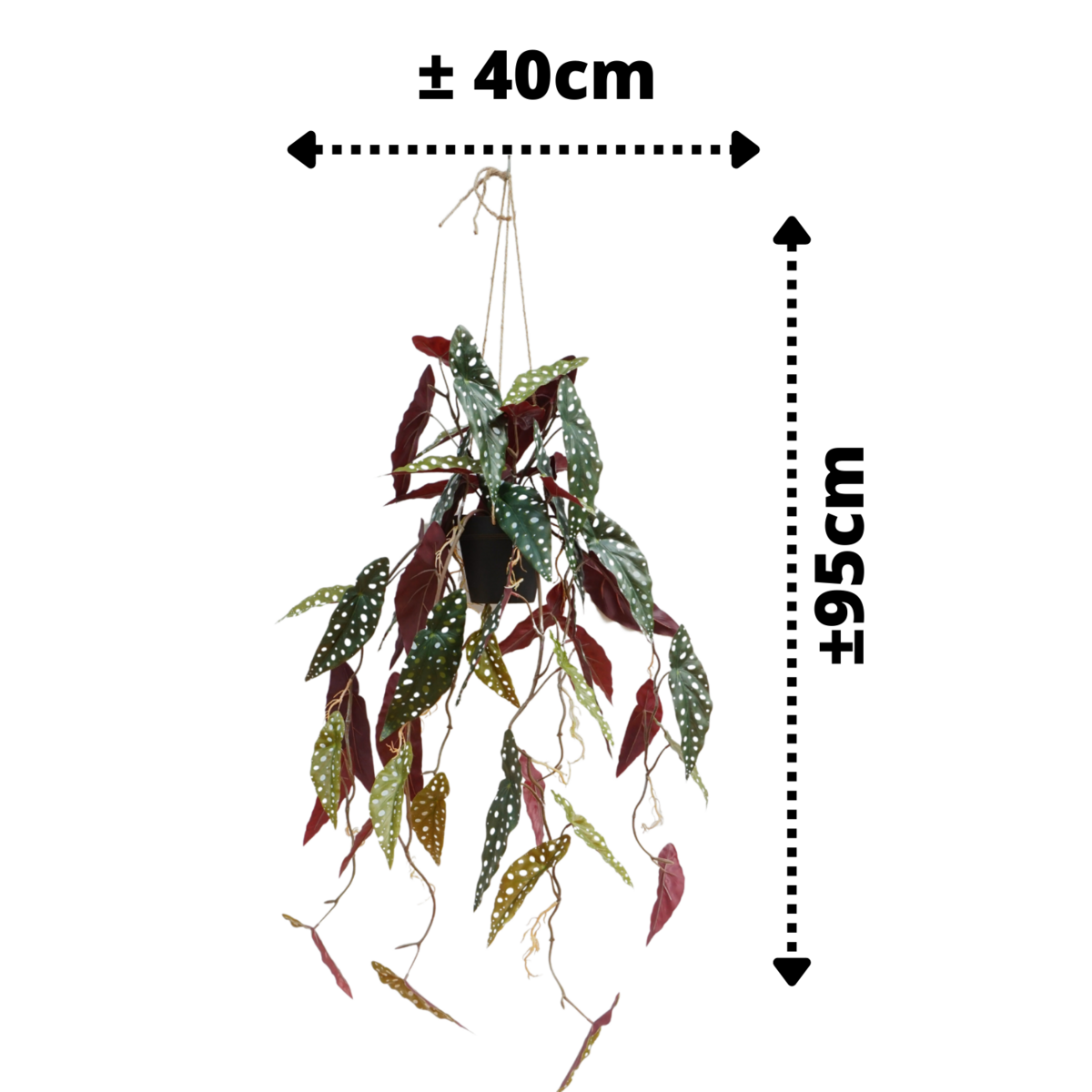 Künstliche Hängepflanze Begonia Maculata, 95 cm