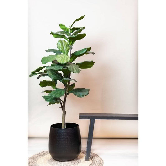 Künstliche Pflanze - Ficus Lyrata - Tabakpflanze - 125 cm - HOLE-X-WORLD