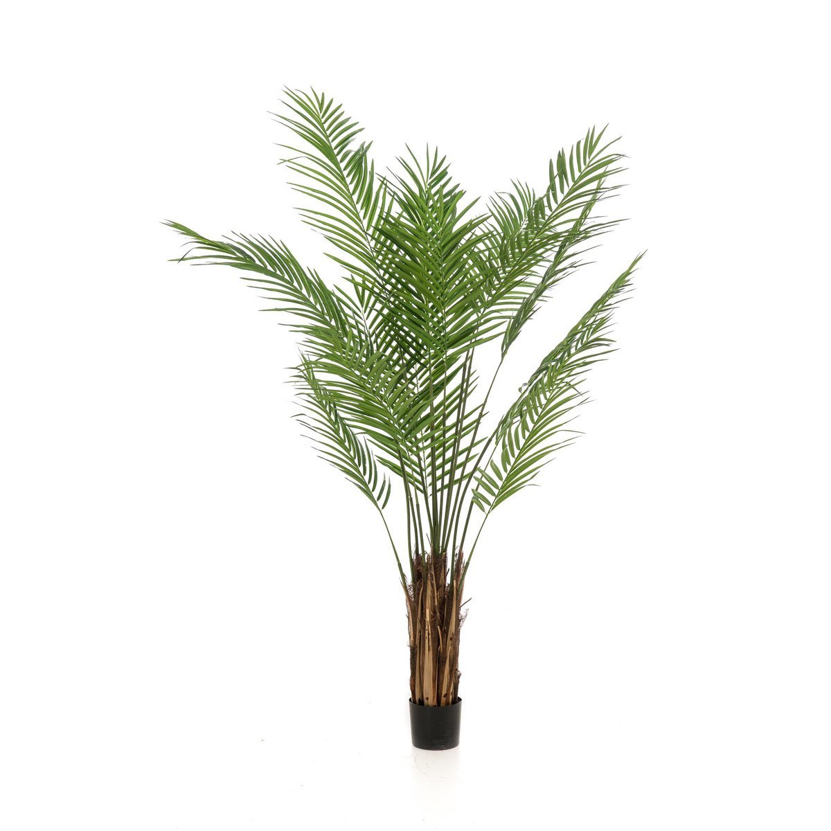 Künstliche Pflanze - Areca Lutescens - Goldene Palme - 180 cm