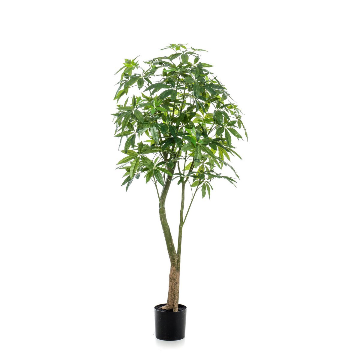 Künstliche Pflanze - Pachira Aquatica - Geldbaum - 180 cm