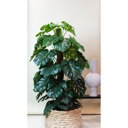 Monstera Deliciosa - Kunstpflanze - 150 cm