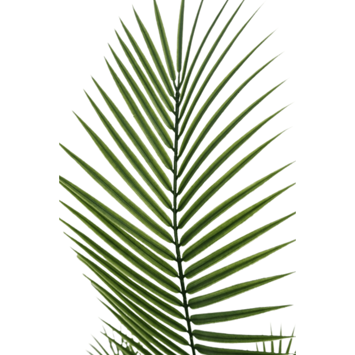 Künstliche Palme 180cm