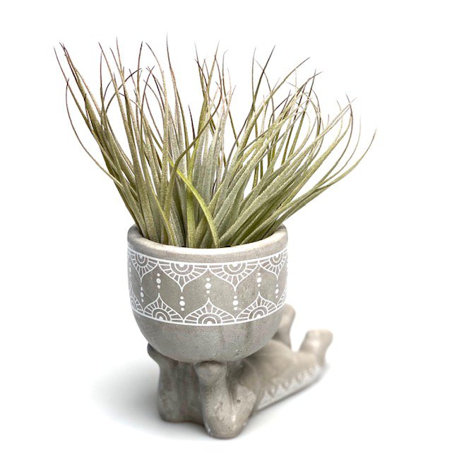 Fauler Airplant-Mann (grau) - HOLE-X-WORLD