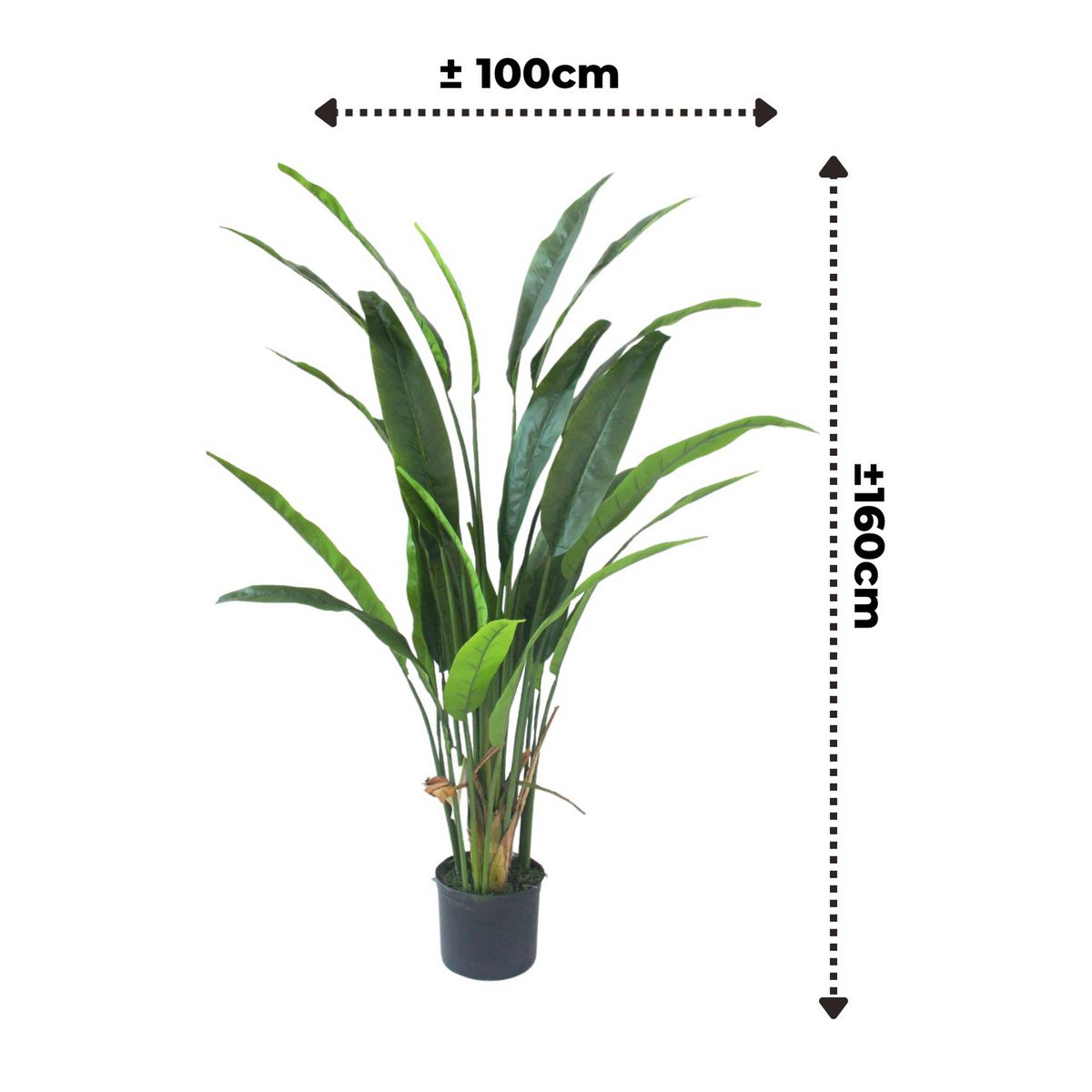 Strelitzia Kunstpflanze 160cm