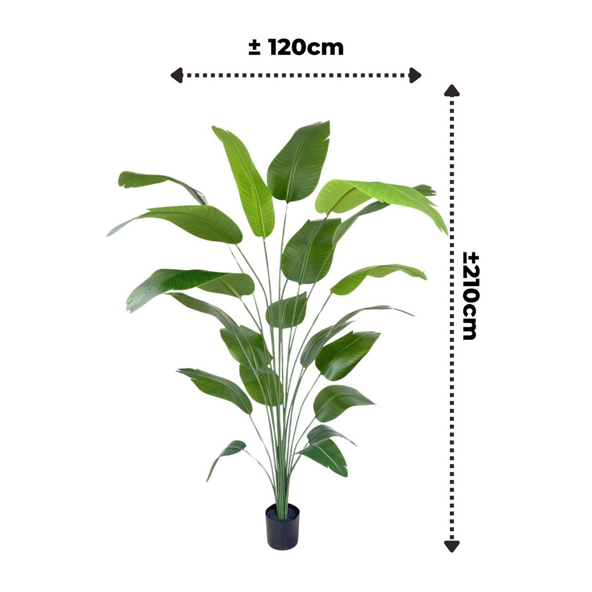 Pre-Order Kunst Bananenplant 210cm