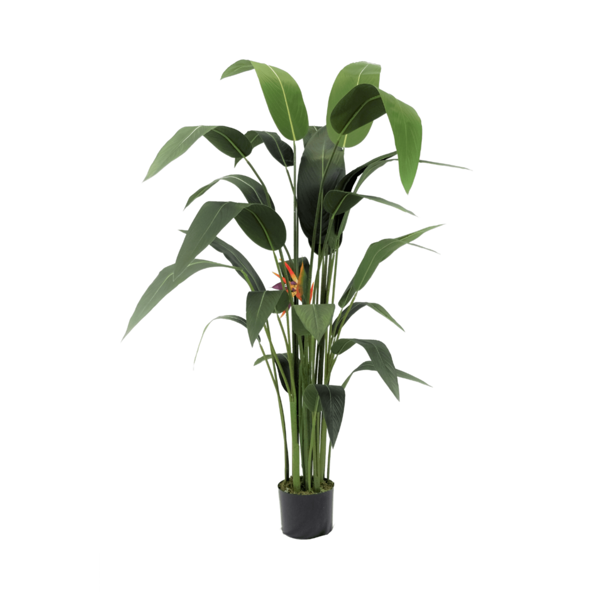 Künstliche Strelitzia-Pflanze mit Blüte 160 cm