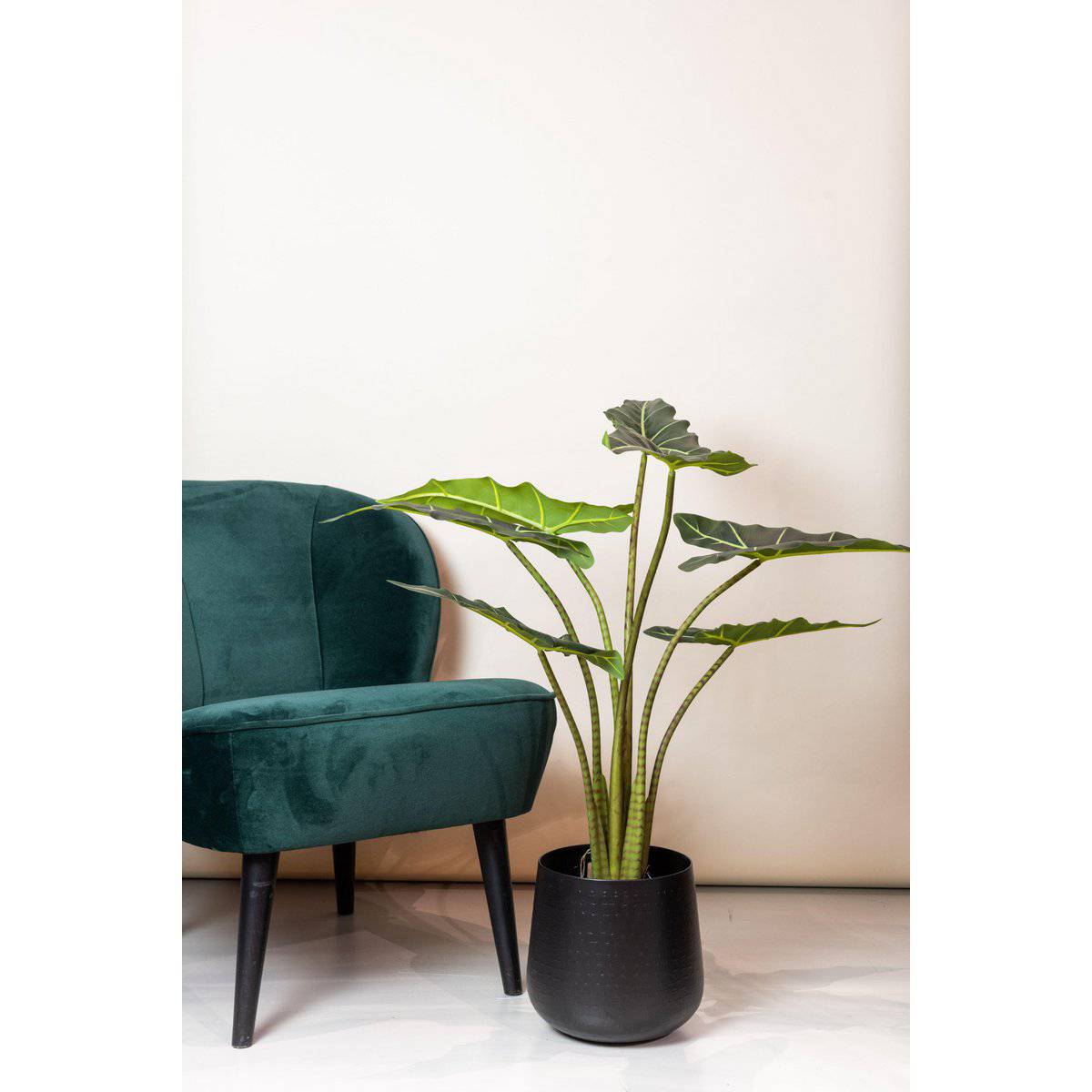 Künstliche Pflanze - Alocasia Frydek - Elefantenohr - 90 cm - HOLE-X-WORLD