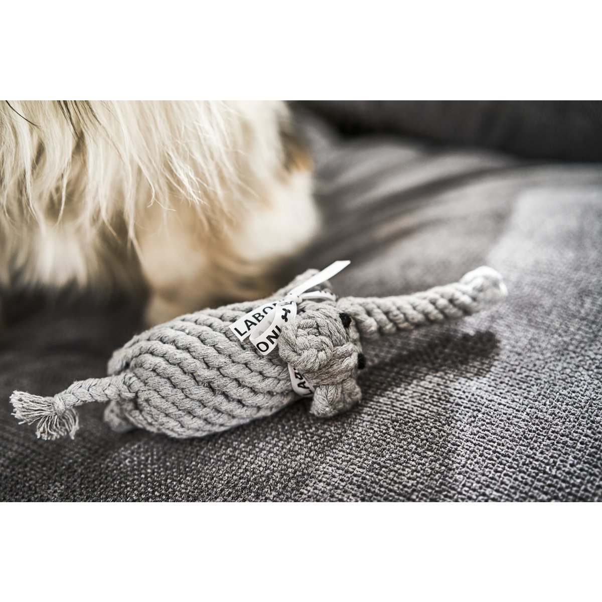 Elton Elefant Jr. Seilspielzeug – Hund Grau 22x7x9 cm