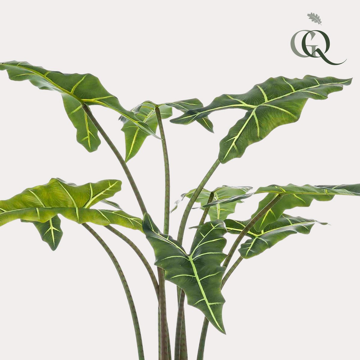 Künstliche Pflanze - Alocasia Frydek - Elefantenohr - 100 cm