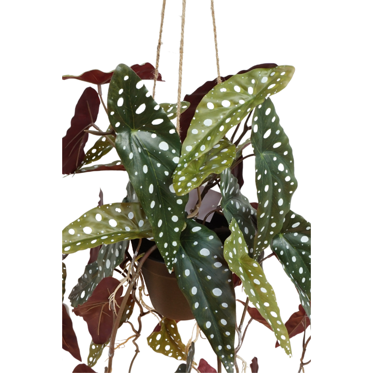 Künstliche Hängepflanze Begonia Maculata, 95 cm