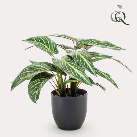 Kunstpflanze - Calathea Zebrina - Schattenpflanze - 38 cm