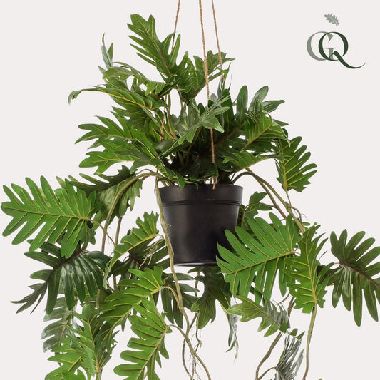 Kunstpflanze - Philodendron - Kletterbaumliebhaber - 80 cm