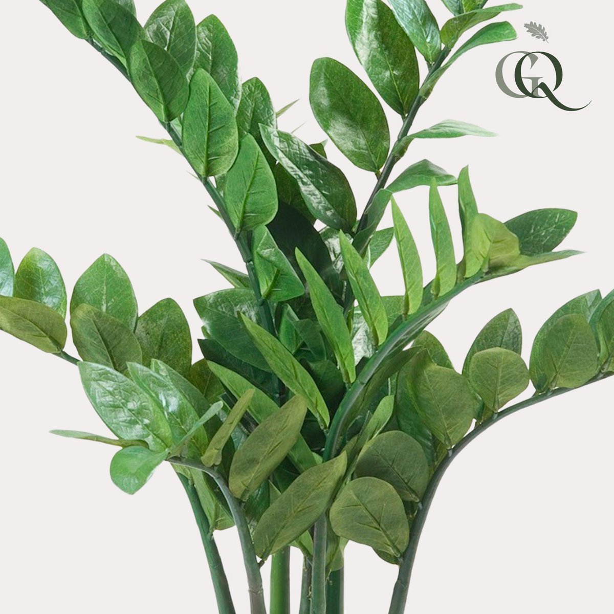 Kunstpflanze - Zamioculcas - Hauspalme - 70 cm